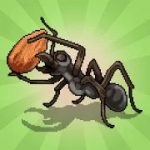 Pocket-Ants