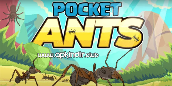 Pocket Ants APK indir